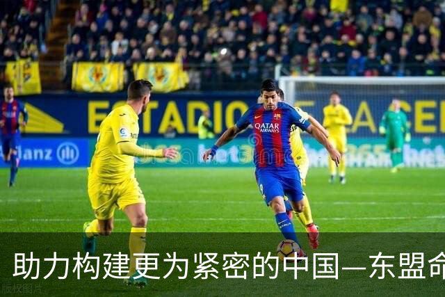 助力构建更为紧密的中国—东盟命运共同体